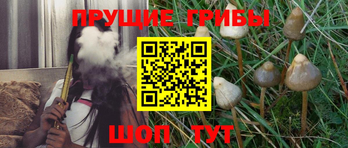 как найти закладки  Галлюциногенные грибы прущие грибы  Вход с VPN  Галлюциногенные грибы GOLDEN TEACHER  Черкесск 