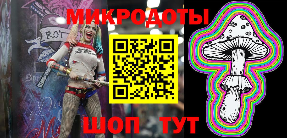 Галлюциногенные грибы Cubensis Черкесск