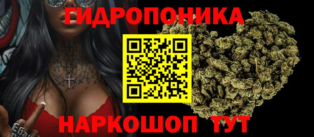 Каннабис гибрид  Марихуана семена  Черкесск  Марихуана LSD WEED  Вход с VPN 